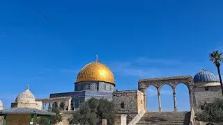25.1.2026 أذان و صلاة الظهر من المسجد الأقصى المبارك Noon prayer from the blessed Al-Aqsa Mosque