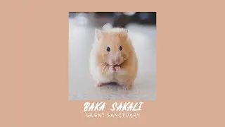 Silent Sanctuary - Baka Sakali (Sped Up)