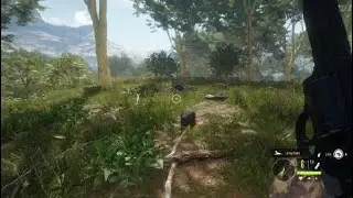 theHunter: Call of the Wild_ Completed 100% Quick kill bonus. Hog mission.