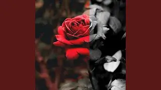 The Flower Between Life And Death (feat. Neturallane) (Part III)