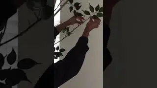 Доступная большая искусственная елка своими руками #shorts #fauxtree #artificialtree #homedecor #diy #diyprojects #decor