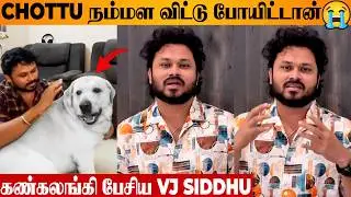 SHOCKING 😭 VJ Siddhu Emotional Speech On Mr.Chottu Dog 💔 Reason Revealed | Last Video | Viral Vlog