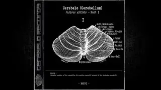 Timao - Technifibre (Original Mix)