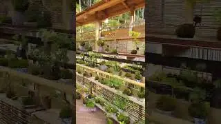 Day 2 went to Kurama. Outdoor plant shop. #shorts #shortsvideo #kurama #honestypays #unmanned #kyoto