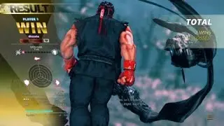 All SFV players should be like this