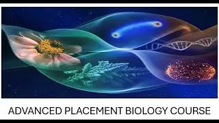 Cell Structure and Function AP Biology