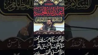 Professor Abid Hussain Abidi 28-12-2025 Majlas aza -Madina Tul Ilm Carpi 