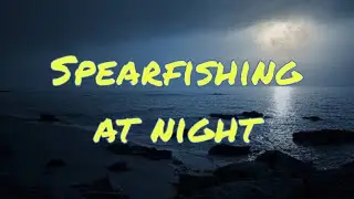 Underwater hunting at night