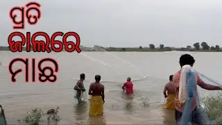 ସମସ୍ତେ ଧରିଲେ କୁଇଣ୍ଟାଲ ମାଛ