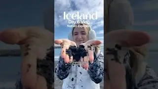 Diamond Beach and the Glacier Lagoon in J&ouml;kuls&aacute;rl&oacute;n -  - DAY 6 with NATIONAL GEOGRAPHIC EXPEDITIONS