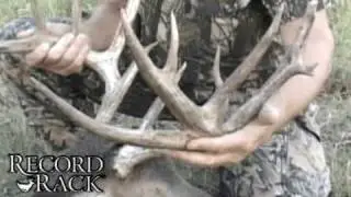 Deer Tips: Importance of Supplemental Feed