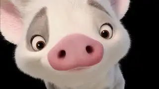 MOANA - Say Hello to Pua! (2016) Disney Animated Movie HD