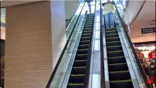 【日立】1X エスカレーター 鹿児島中央ターミナルビル　1X escalator Kagoshima Chuou Terminal building Kagosima Japan