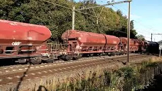 Kolen Trein DB Garching-Terneuzen te Blerick Nederland Zondag 20 September 2020 ! Treinen Spotten !!