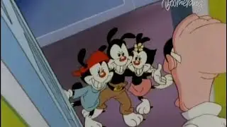 Animaniacs - Monkey Song (Polish)