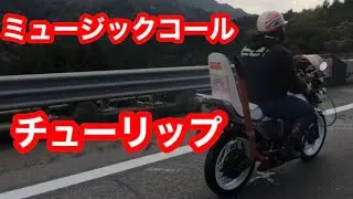 ミュージックコール♫チューリップからの結婚行進曲🌷CBX400Fメロディーコール