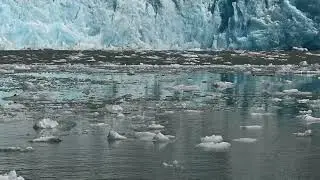 South Sawyer Calving