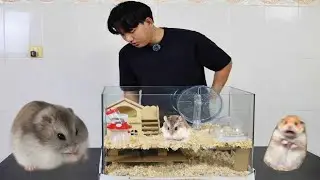 ខ្ញុំបានធ្វើទ្រុងHamster ថ្មីមួយទៀត