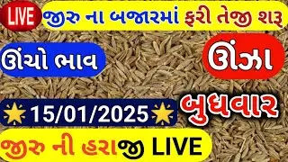 Jeera na bhav | 15-01-2024l5 | જીરું ના ભાવ:2024 | live cumin trading in  APMC | commodity Trend