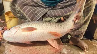 Amazing Rohu Fish Scaling & Cutting Techniques By Bangladeshi Fisherman, Big Rui Fish Cutting Video