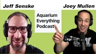 Episode 3: Joey Mullen, The DIY Fishkeeper