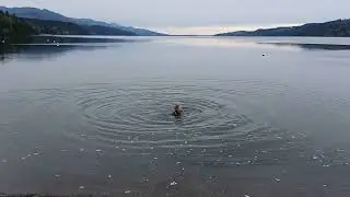 Wild Swim Hood Canal