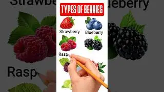 Types of Berries English Vocabulary With Pictures  #englishvocabulary #englishlanguage #shorts