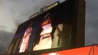 【優勝試合】つば九郎 今日のひと言 2015/10/2 東京ヤクルトスワローズ