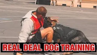 REAL DEAL DOG TRAINING!