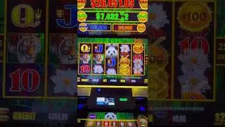 This slip is NOT worth $1000! #gambling #casino #money #comedy #slots