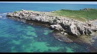 Penguin Island dji inspire 2