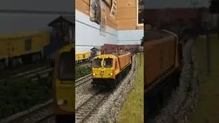 Murphy Models Class 201 &ldquo;Shannon&rdquo; & Craven Coaches #modelrailwaylayout #modeltrains #irishrail