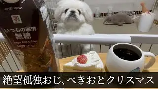 絶望孤独おじ、ぺきおとクリスマス
