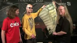 Split Bearing - Public TV Rockparada