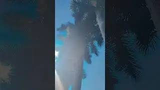 #cyborg