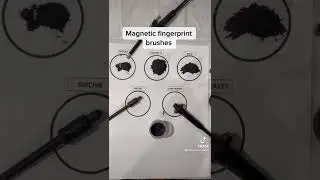 Trying different magnetic brushes