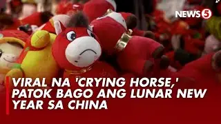 Year of the sad horse?: Factory mistake creates viral toy in China