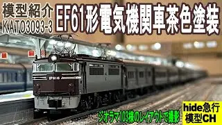 EF61形直流電気機関車茶色塗装を紹介します