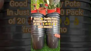 Meesho sets of 20 black 5&rdquo;inch pots review just under 300 #onlineshopping#1millionviews #ytshorts