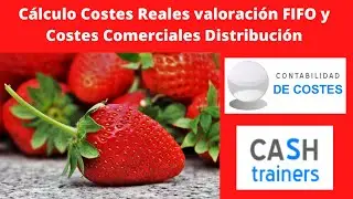 C&oacute;mo Calcular Costes Reales y M&aacute;rgenes con M&eacute;todo FIFO en Empresas de Distribuci&oacute;n (Excel)