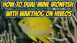 How to Dual Mine Ironfish with Warthog on Hiveos