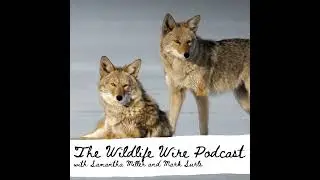 Furbearer Sam joins the pod today