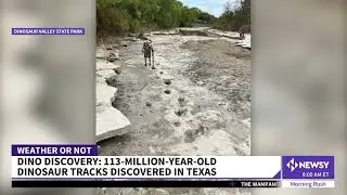 Drought Dinosaur Tracks