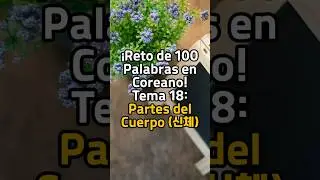&iexcl;Reto de 100 Palabras en Coreano! Tema 18: Partes del Cuerpo (신체) #Coreano #AprenderCoreano