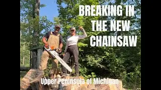 BREAKING IN THE NEW CHAINSAW | 40 ACRES UPPER PENINSULA  OF MICHIGAN #cabinbuild