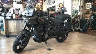 Pan America 1250 Harley-Davidson (River Rock Gray)