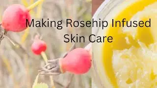 Making Rosehip infused Oil + Rosehip Scincare
