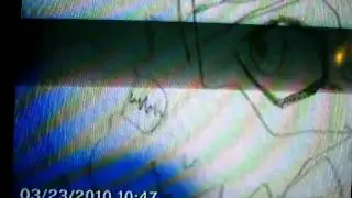slumdog millionaire - dobs art books 98-01 slide amv