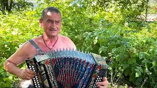 Ой там у гаю, у гаю - стелиться яром туман | Українська народна пісня Віктор Буртовий село  Мошорине