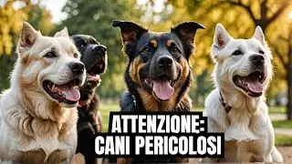 Le Razze Canine Pi&ugrave; Potenti Mai Viste In Italia!